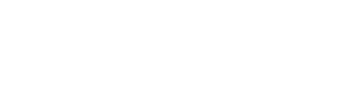 Blink Capital Partners
